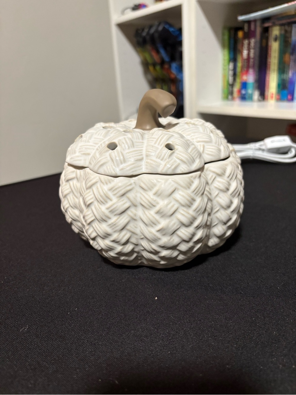 Scentsy wax warmer Ceramic Knit Pumpkin Decorative – Cream with Tan Stem
